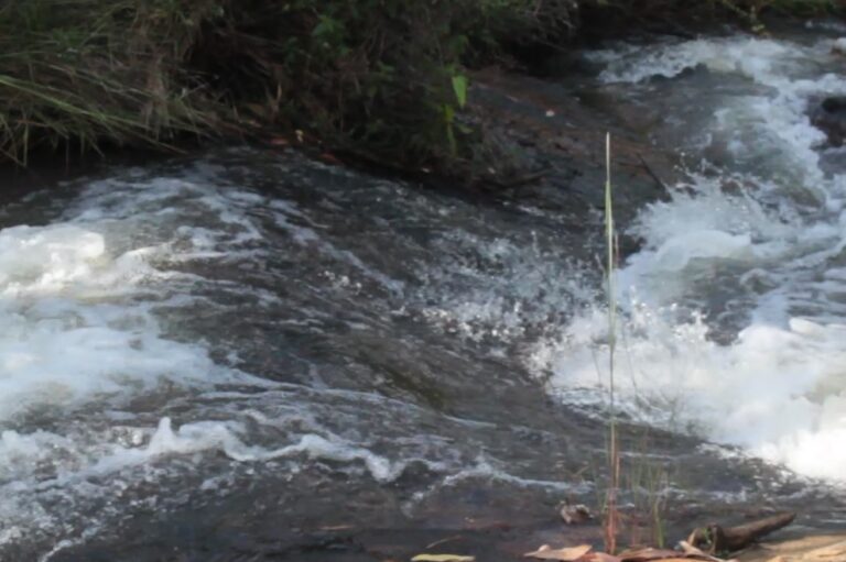 agua é vida