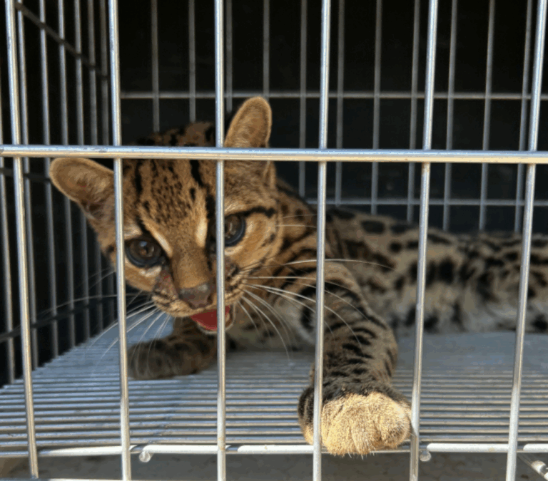 Screenshot_2025-06-21-10-47-36-899_com