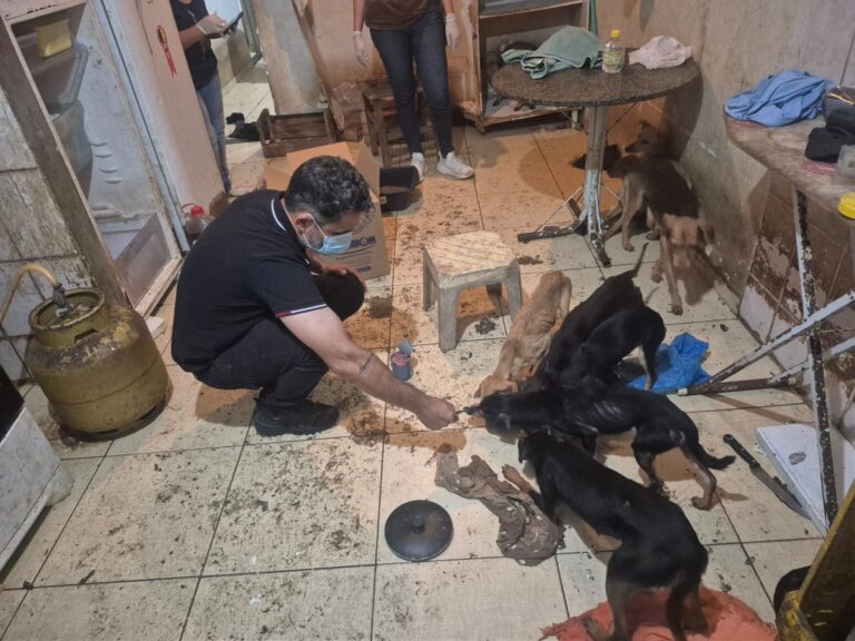 WhatsApp Image 2025-08-16 at 11.54