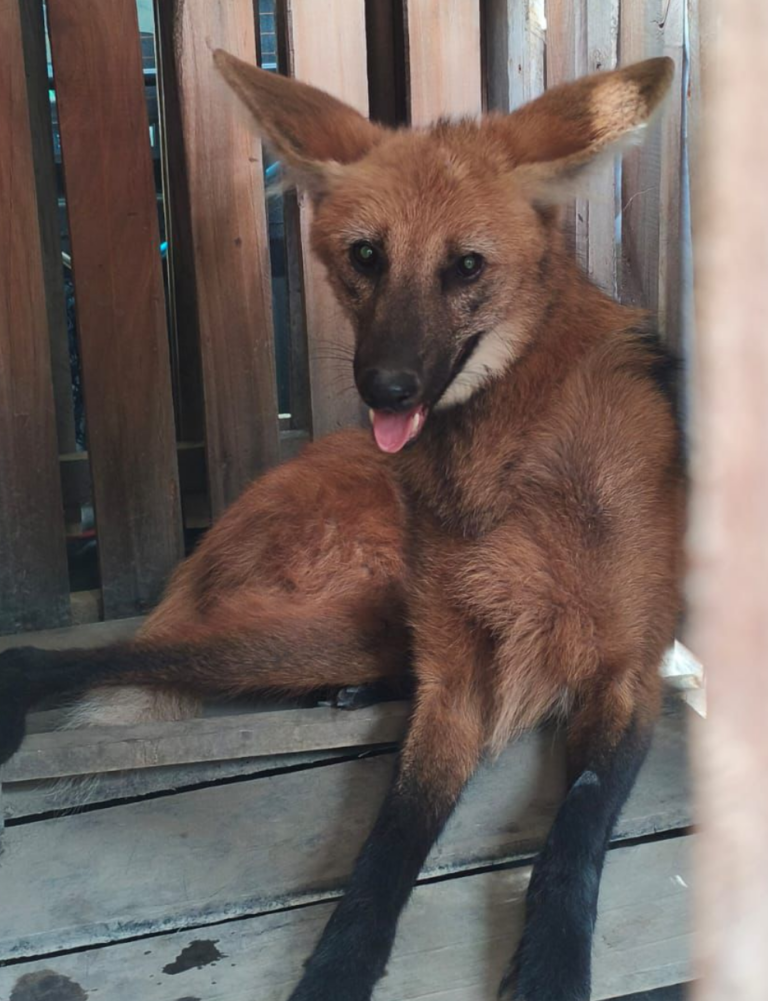 Screenshot_2026-01-19-19-42-30-807_com