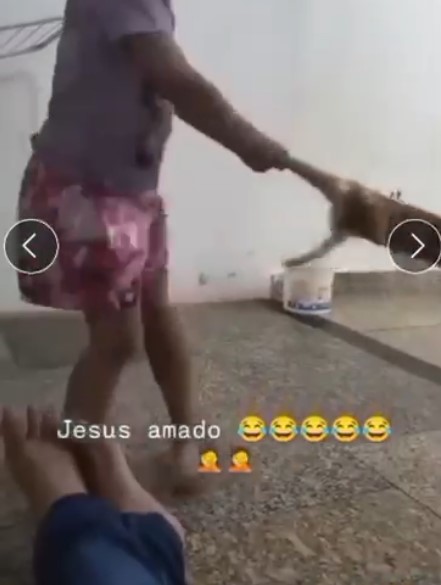 criança girando gato