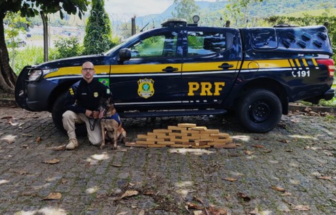 PF Apreensão de drogas