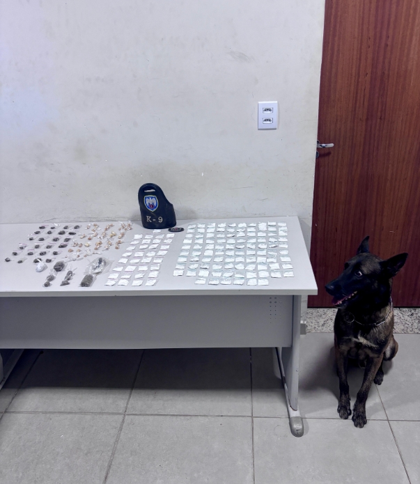 Captura de tela_27-4-2026_18472_web.whatsapp