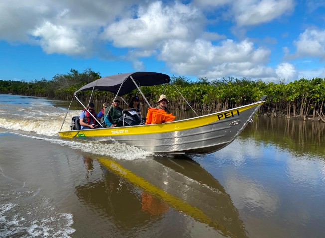 Embarcação