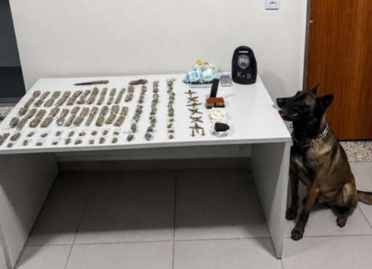 K9