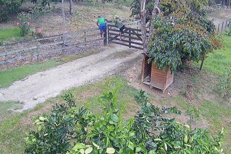 furto em p rural
